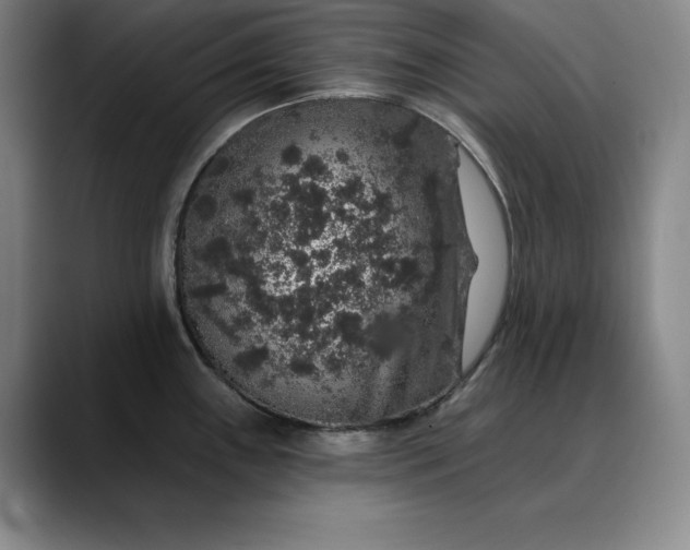 X0000088671243200706141330