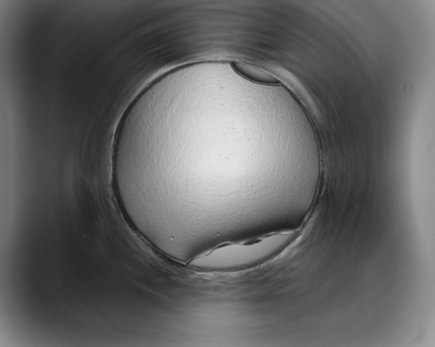 X0000088671244200706141330