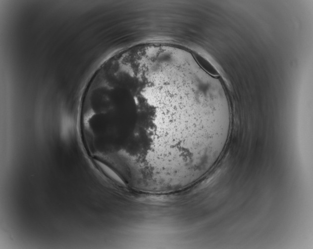 X0000088671245200706141330
