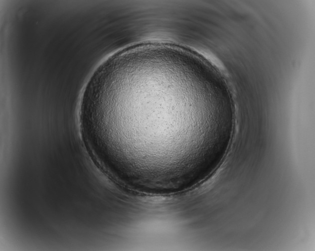 X0000088671248200706141330