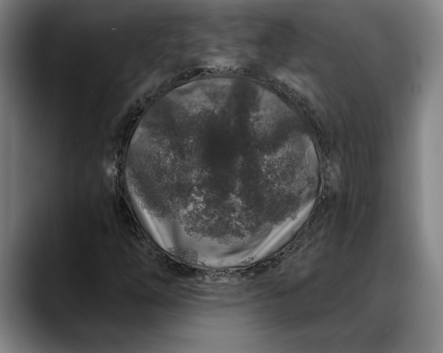 X0000088671254200706141330
