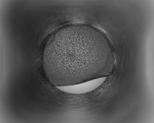 X0000088671255200706141330