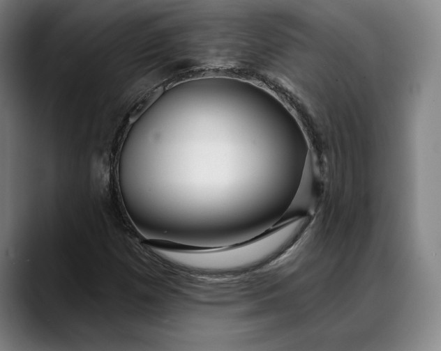 X0000088671257200706141330