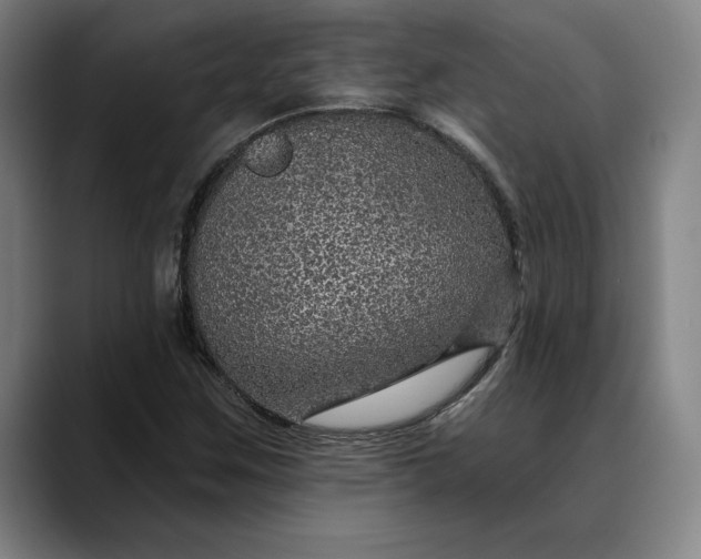 X0000088671259200706141330