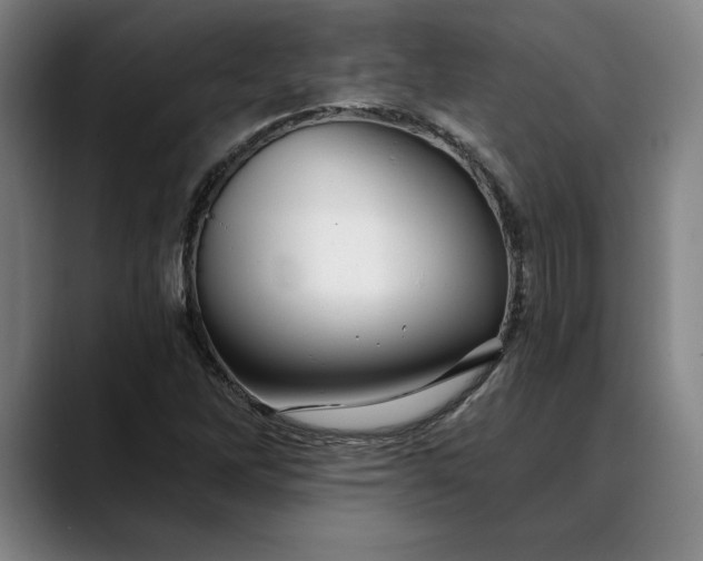 X0000088671262200706141330