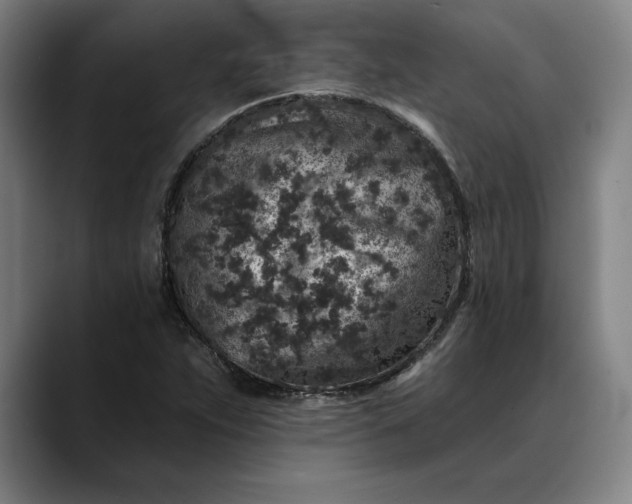 X0000088671263200706141330