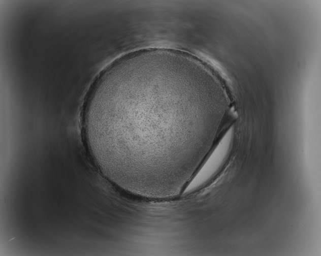 X0000088671264200706141330