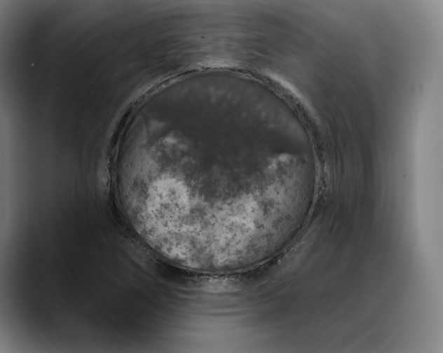 X0000088671266200706141330