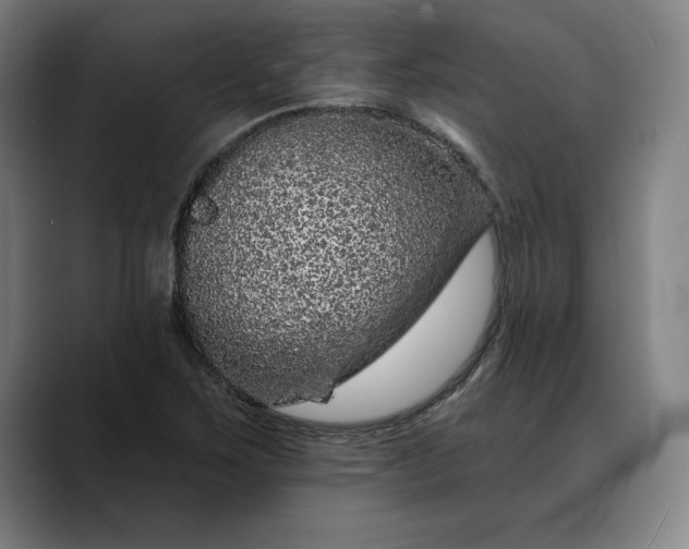 X0000088671267200706141330