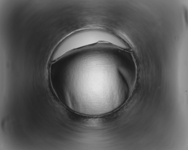 X0000088671268200706141329