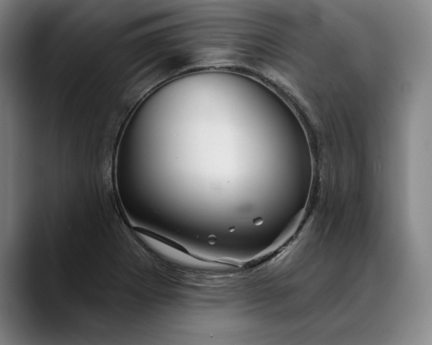 X0000088671273200706141329