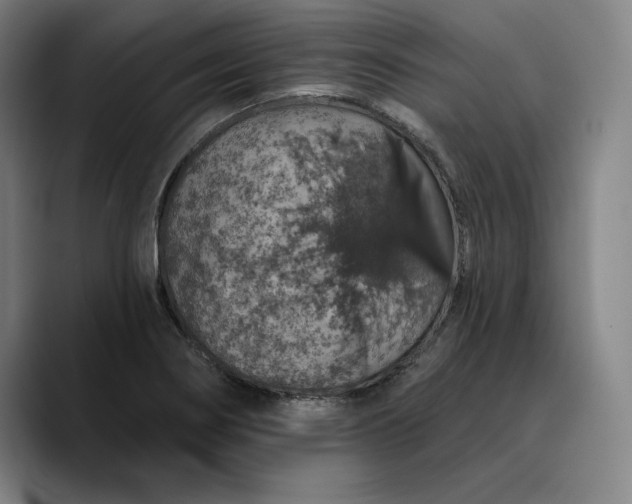 X0000088671274200706141329