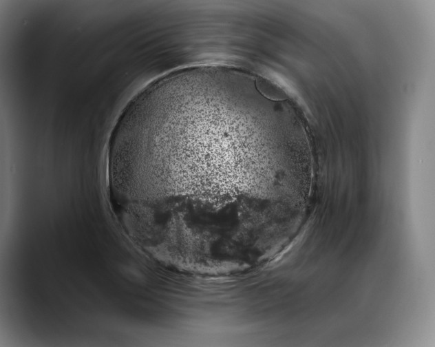 X0000088671275200706141329