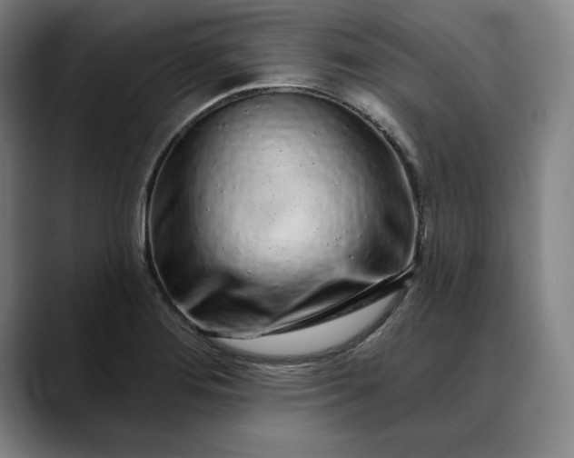 X0000088671276200706141329