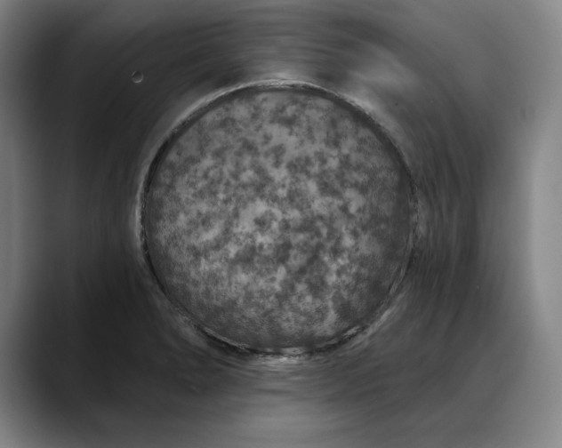 X0000088671278200706141329