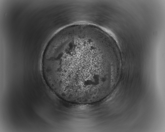 X0000088671279200706141329