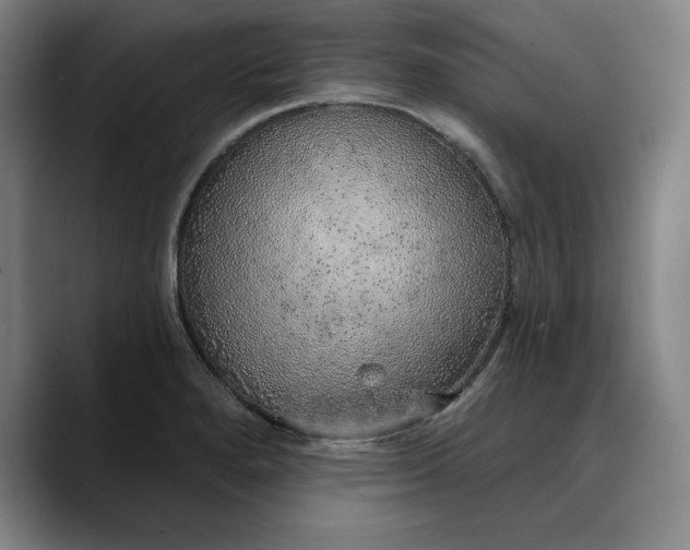 X0000088671280200706141329