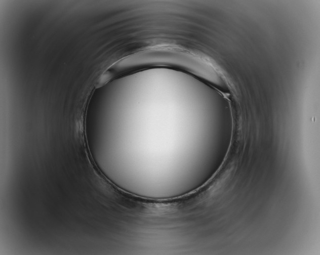 X0000088671281200706141329