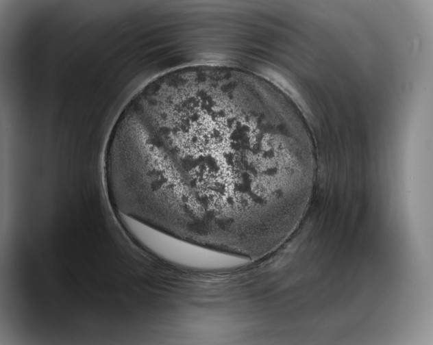 X0000088671283200706141329
