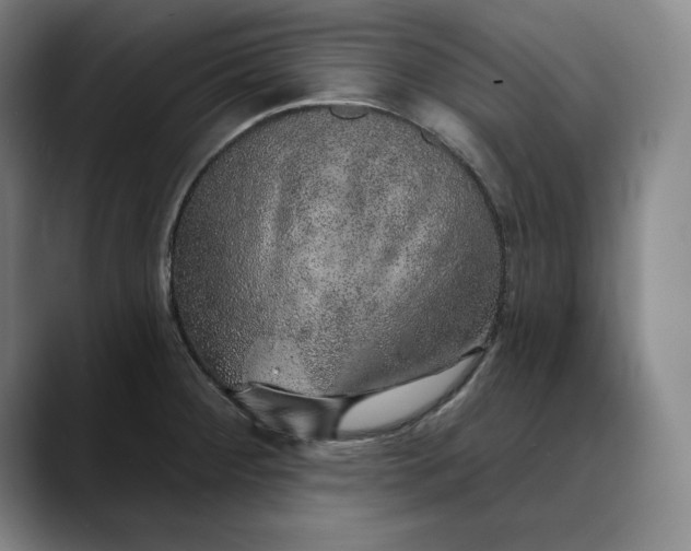 X0000088671284200706141329