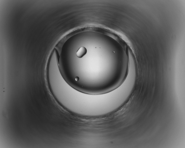 X0000088671287200706141329