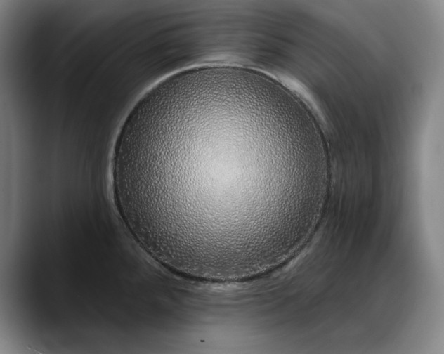 X0000088671288200706141329