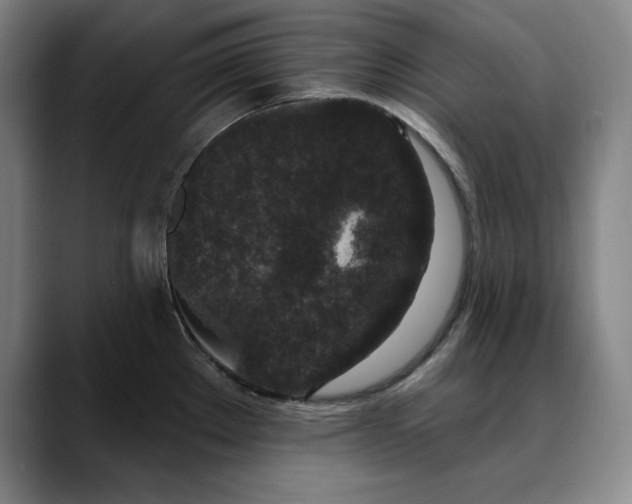 X0000088671289200706141329