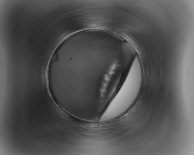 X0000088671291200706141329