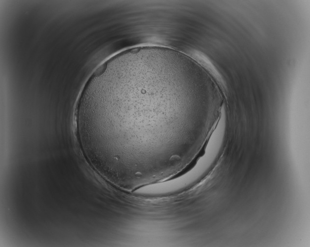 X0000088671292200706141329