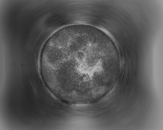 X0000088671294200706141329