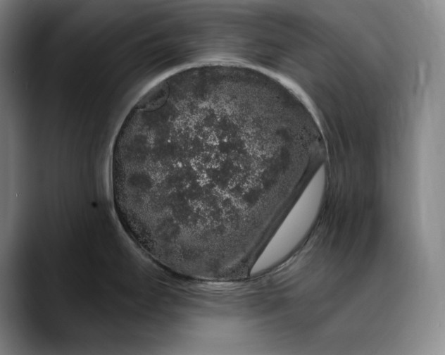 X0000088671295200706141329