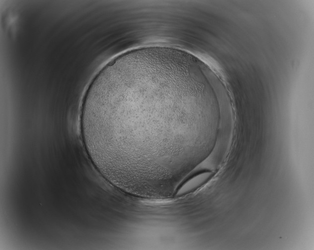 X0000088671296200706141329