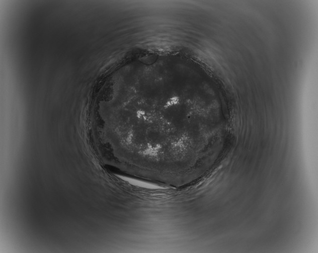 X0000088671297200706141329