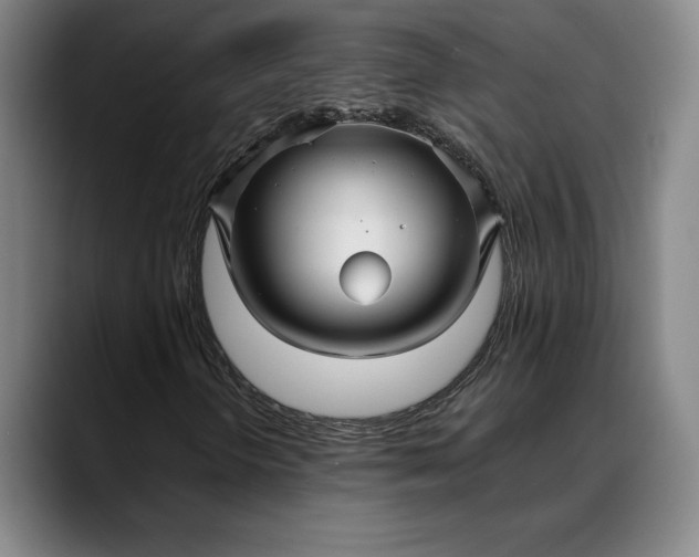 X0000088671298200706141329