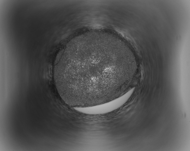X0000088671301200706141329