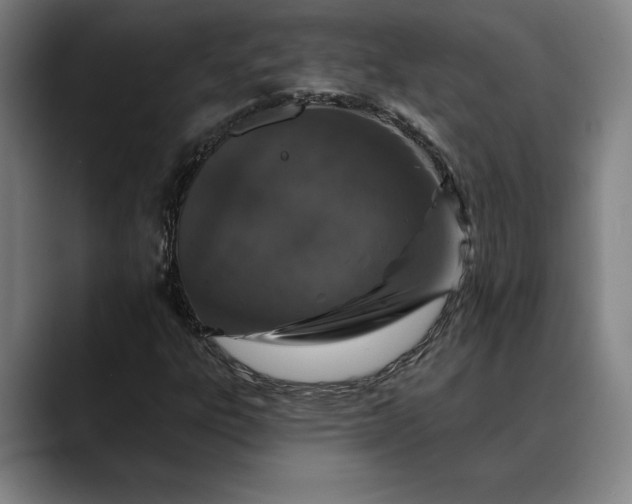 X0000088671303200706141329