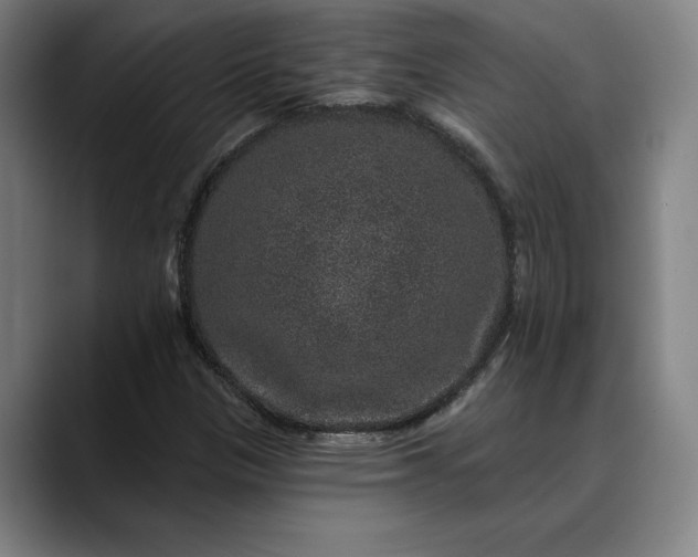 X0000088671305200706141329
