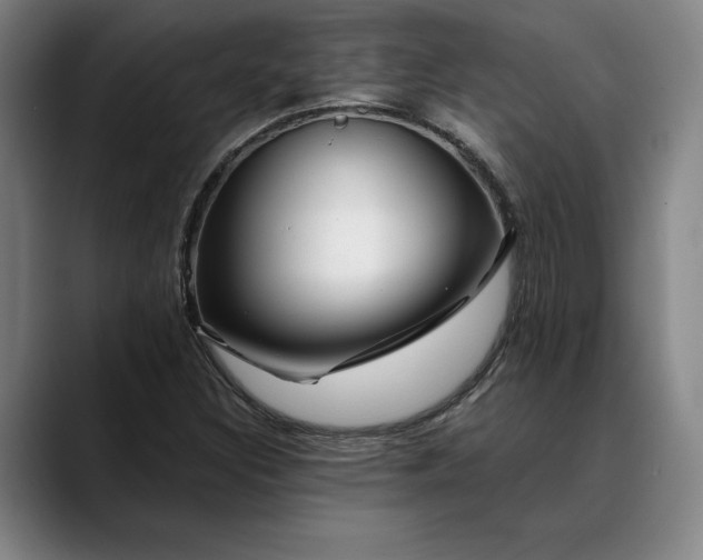 X0000088671308200706141329
