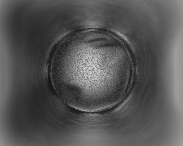 X0000088671309200706141329