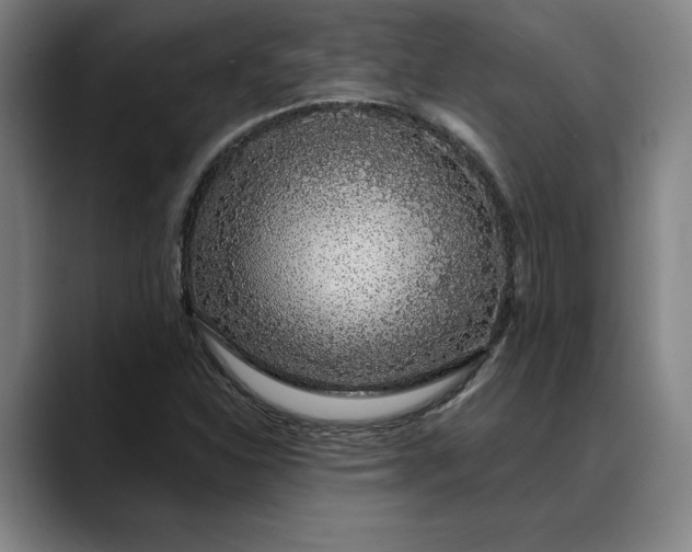X0000088671310200706141329