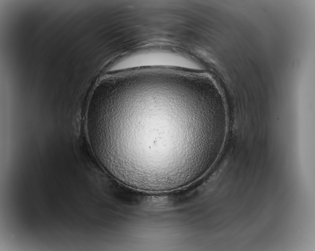 X0000088671313200706141329