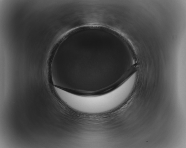 X0000088671319200706141329