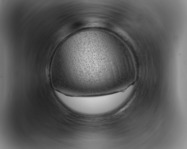 X0000088671321200706141329