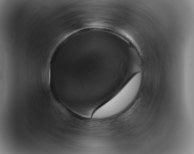 X0000088671323200706141329