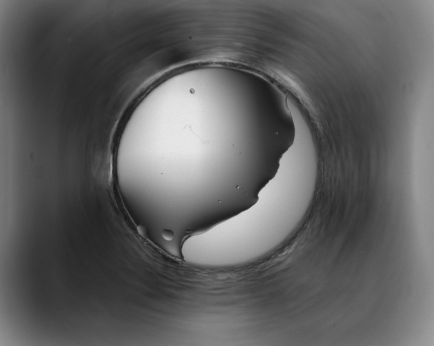 X0000088671324200706141329