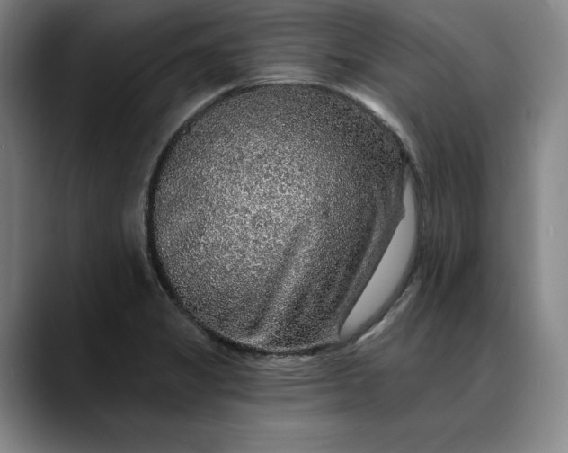 X0000088671325200706141329