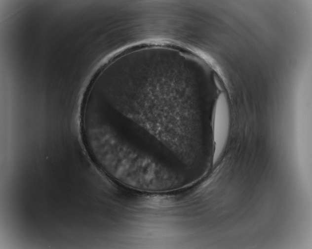 X0000088671327200706141329