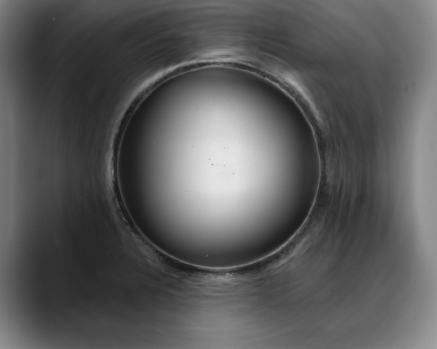 X0000088671328200706141329