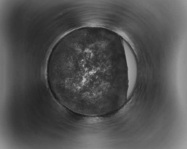 X0000088671331200706141329