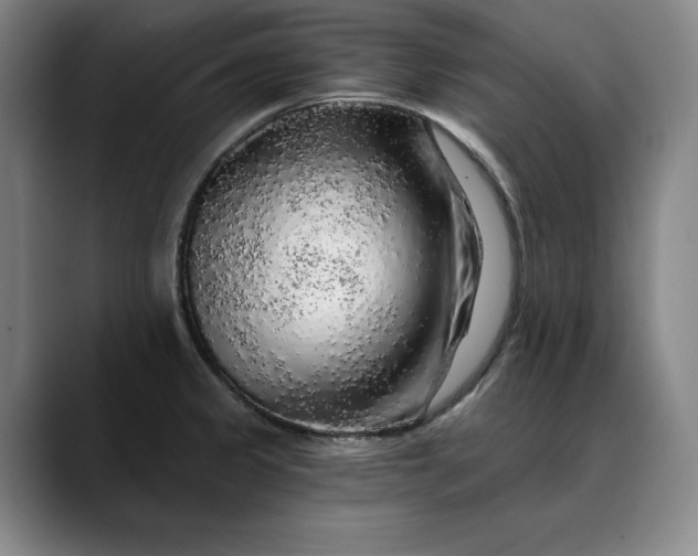 X0000088671333200706141329